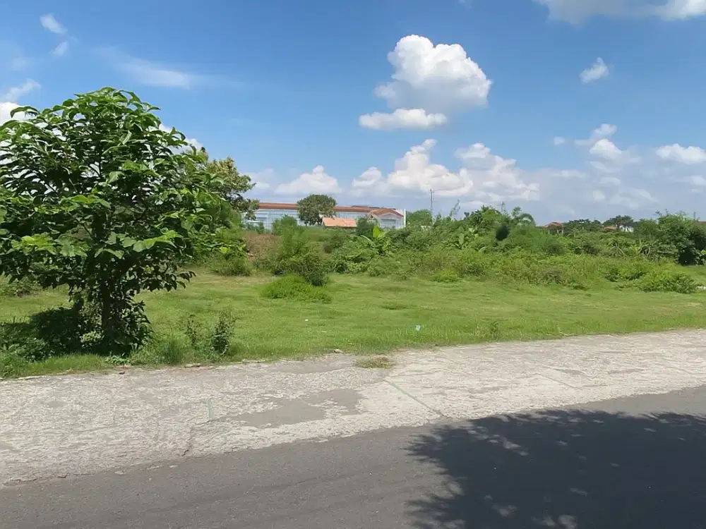 Lahan Banguntapan Strategis dengan Panorama Sawah Hijau