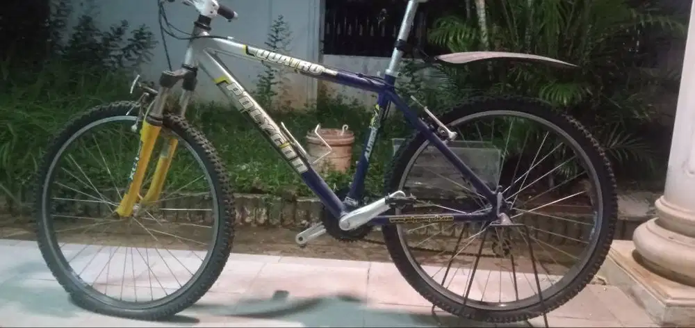 sepeda polygon quarto qubic