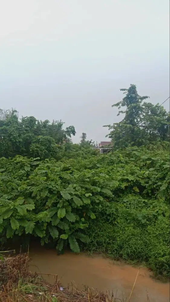 Tanah dijual kawasan baturaja timur dekat SMA N 4, luas 3100m2