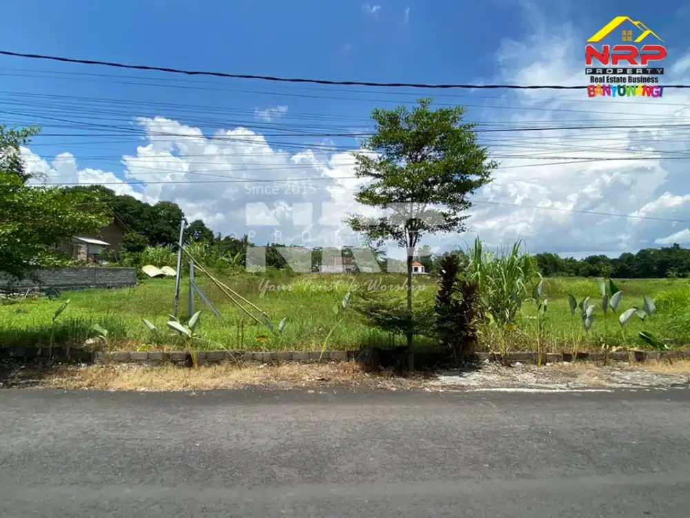 DIJUAL TANAH MURAH dan PROSPEK BANGET DI KEMBIRITAN — GENTENG, BANYUWANGI