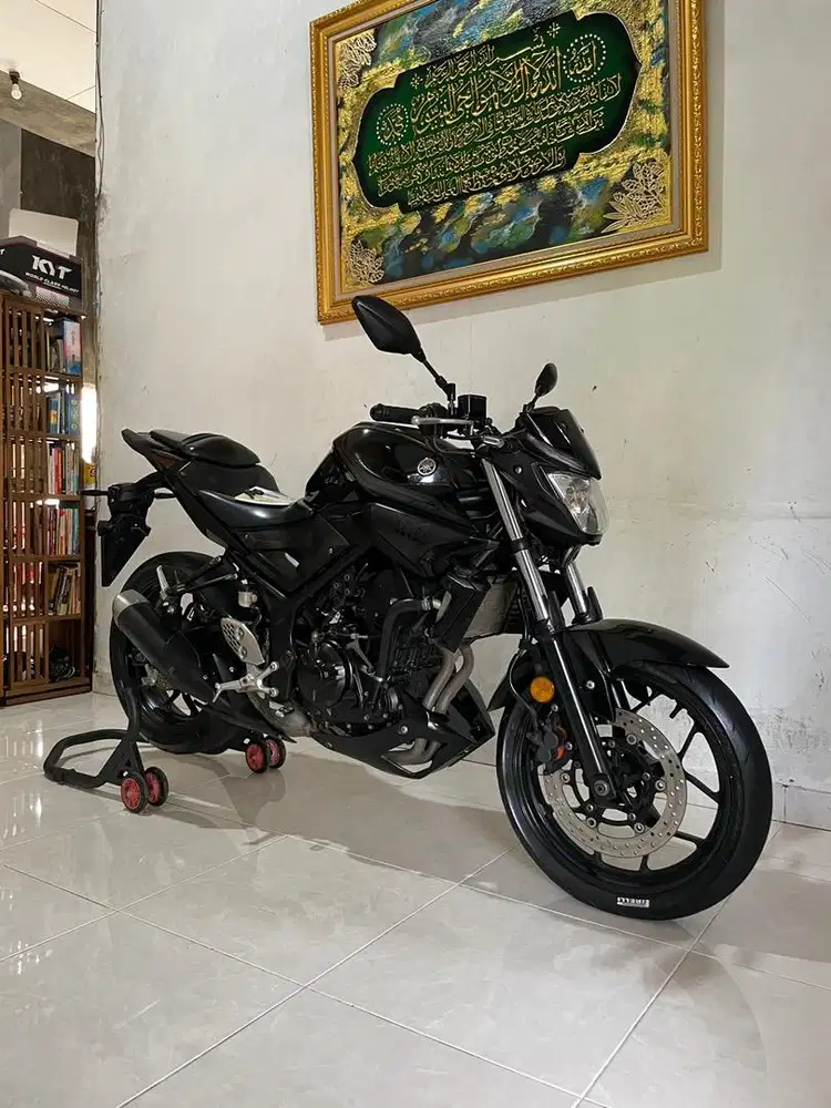 2017 Yamaha MT25 Full Original Terawat