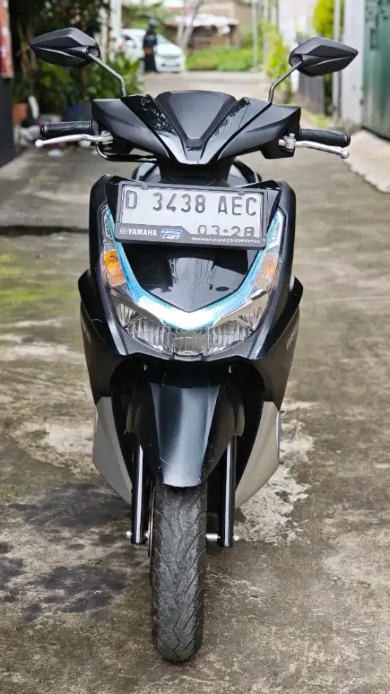 yamaha freego standart