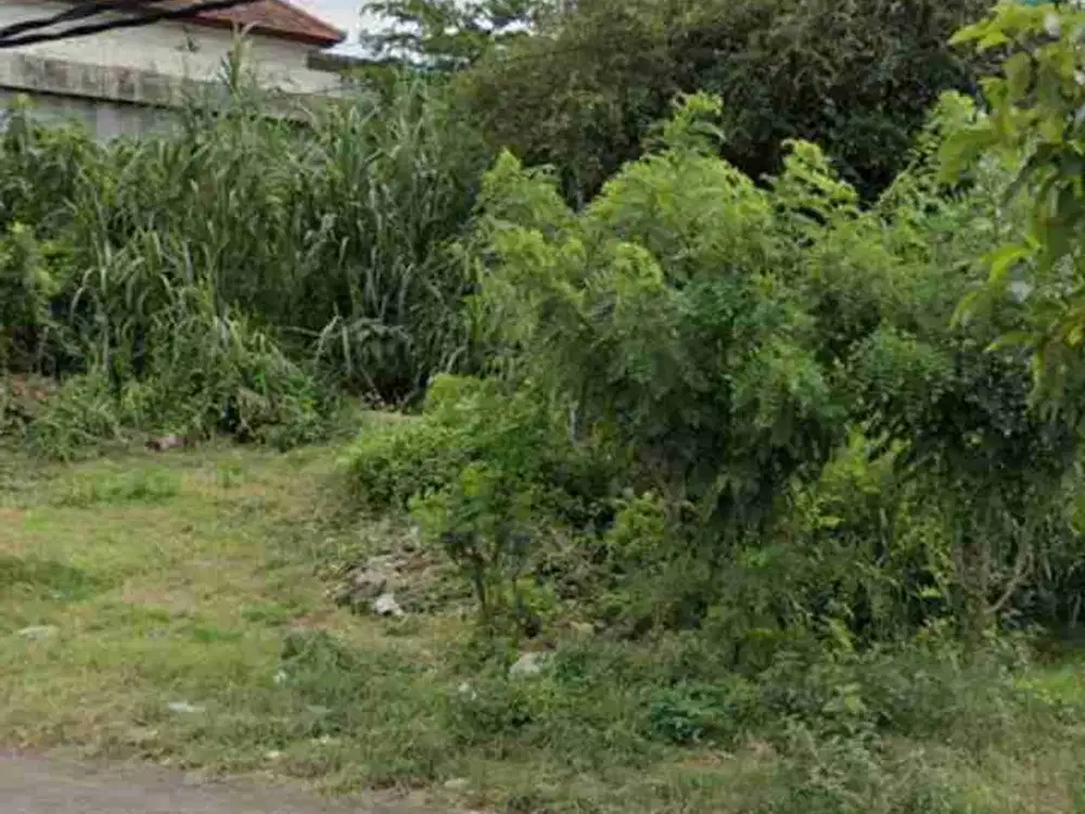 disewakan tanah 12 are IDR 35 juta /are /tahun jln utama Uluwatu Pecatu