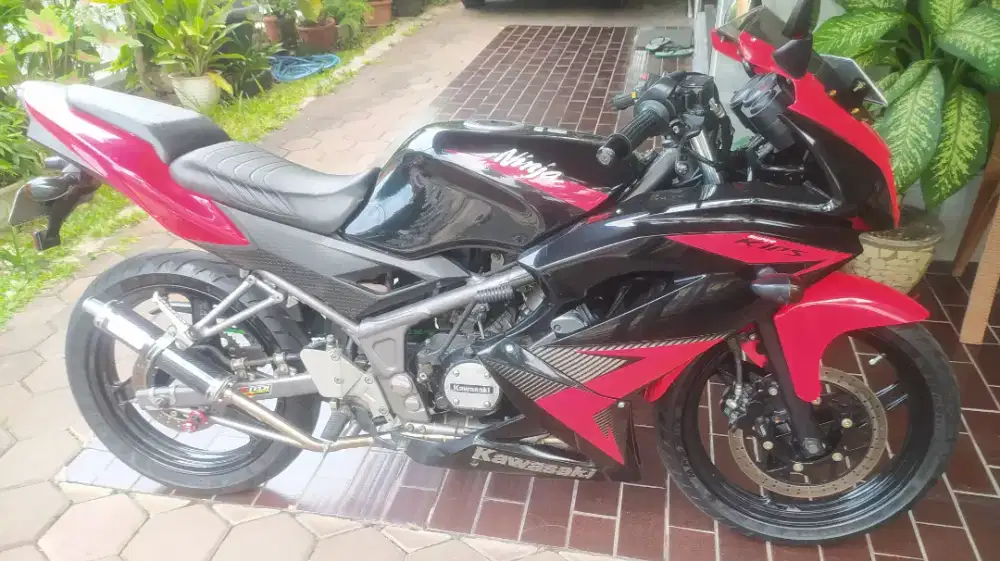 Kawasaki Ninja RR New 2014