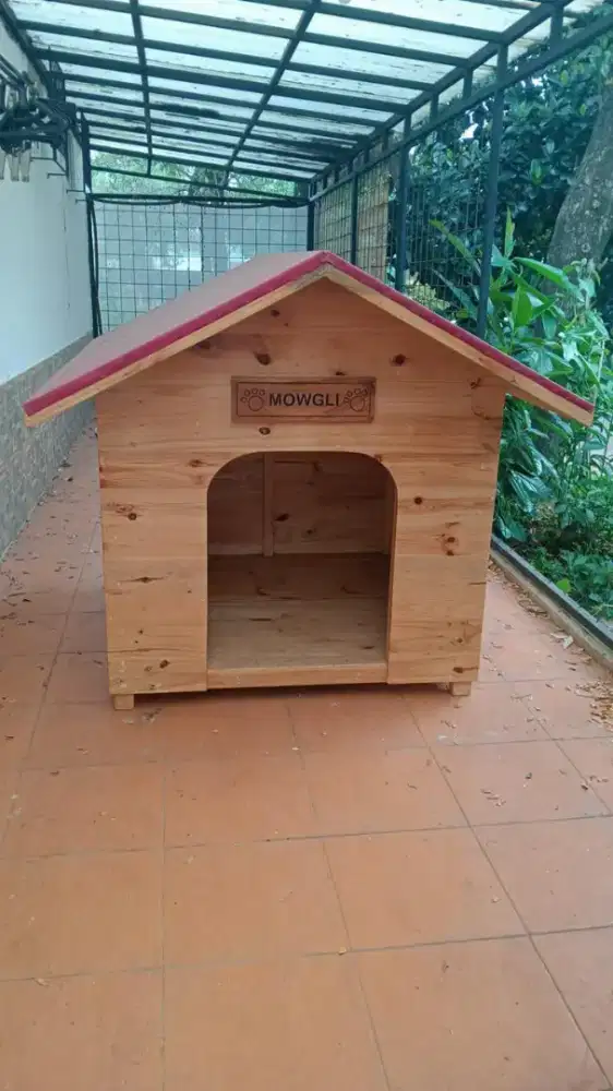 Kandang anjing besar custome @dinantisecondhand