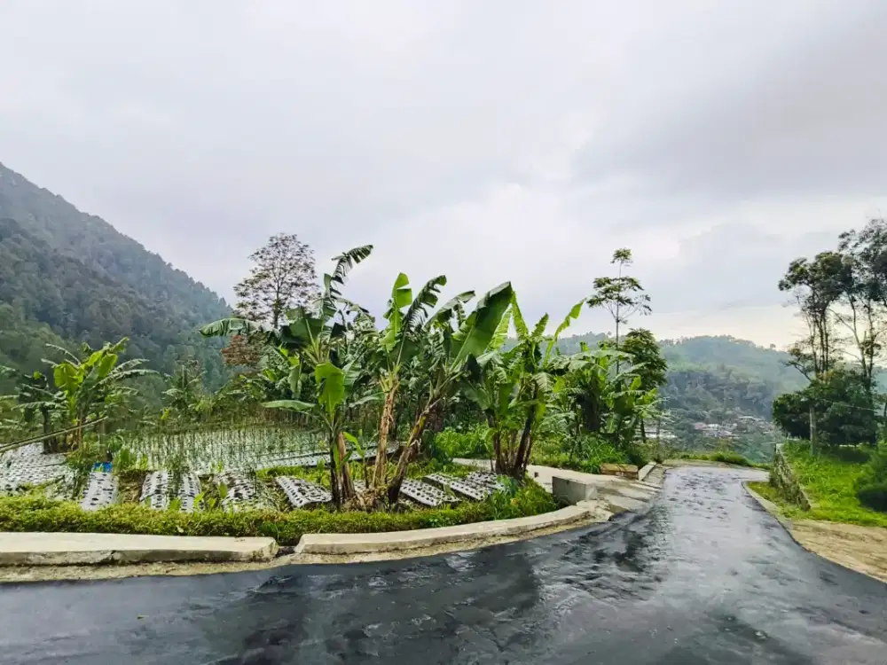 Dijual tanah kemuning dekat madirda