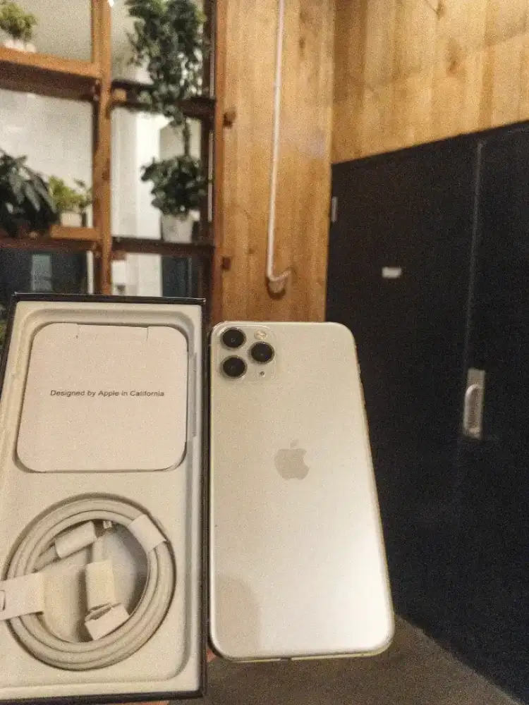 Iphone 11 pro 256gb wajib silver