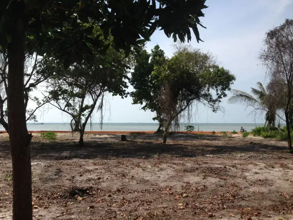 Tanah Hak milik Beach front Land