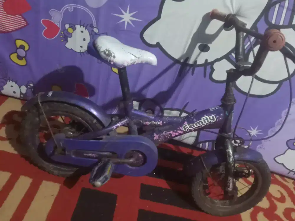 Sepeda anak Family ring 12