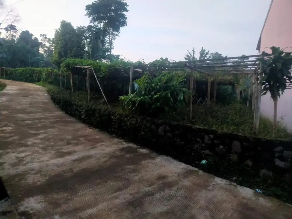 Tanah Luas 318 meter daerah sejuk tanah subur