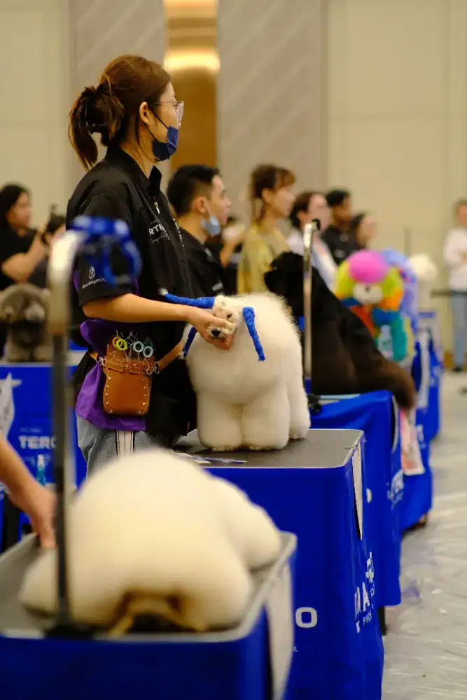 LOWONGAN DOG GROOMER