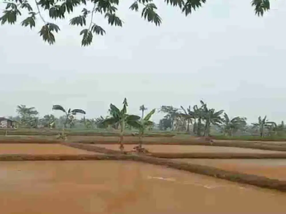 Jual Cepat 6 EMPANG 2000 Meter