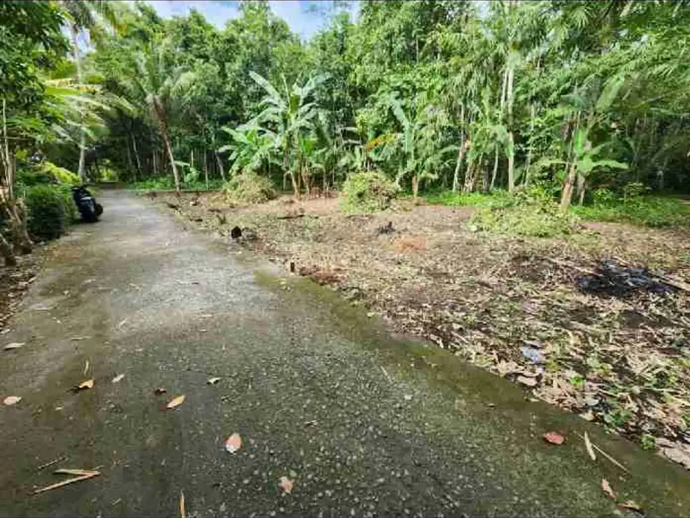 JUAL TANAH DI TAYUBAN PANJATAN KULONPROGO