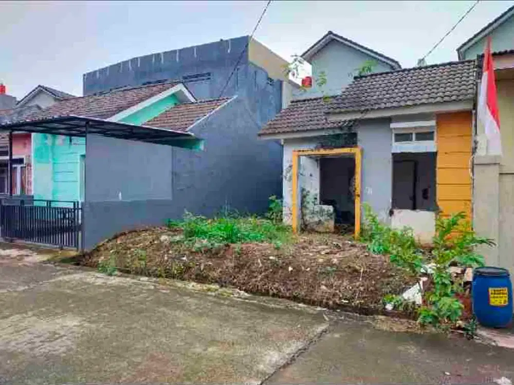 Harvest City Cluster Orchid