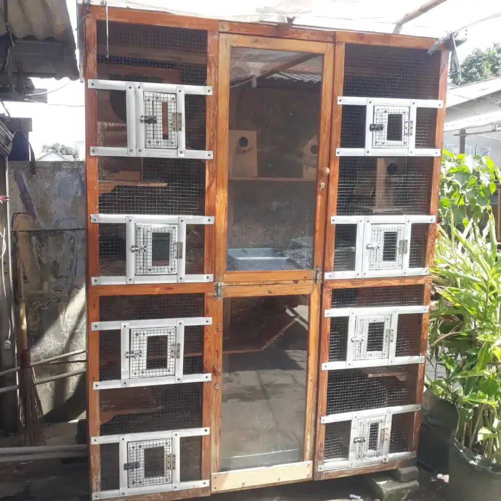 Kandang jati berikut isinya