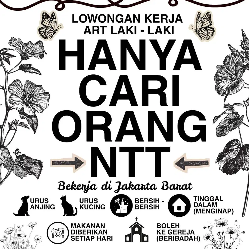 ART LAKI - LAKI ASAL NTT