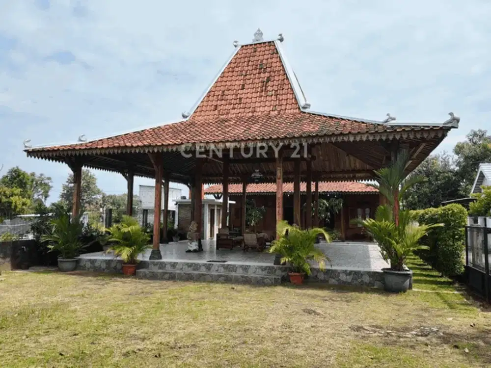 Rumah Spesial Klasik Dengan Pendopo Dan Limasan Yang Luas