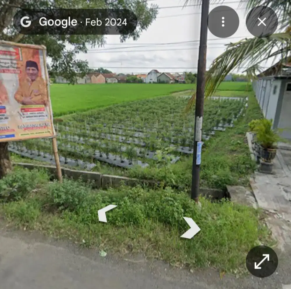 Dijual tanah sawah