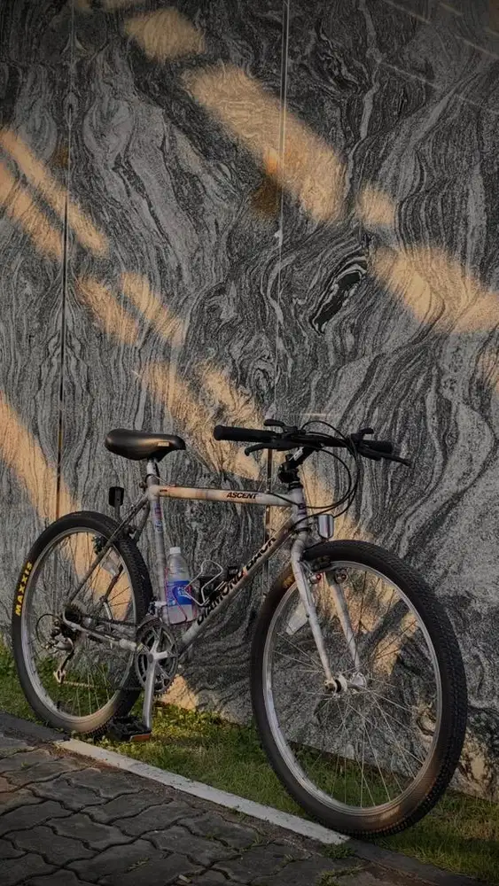 Diamondback Ascent 1989