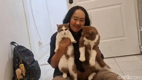 Dicari Pet Keeper / Pet Groomer untuk Pet Shop di Bekasi Timur