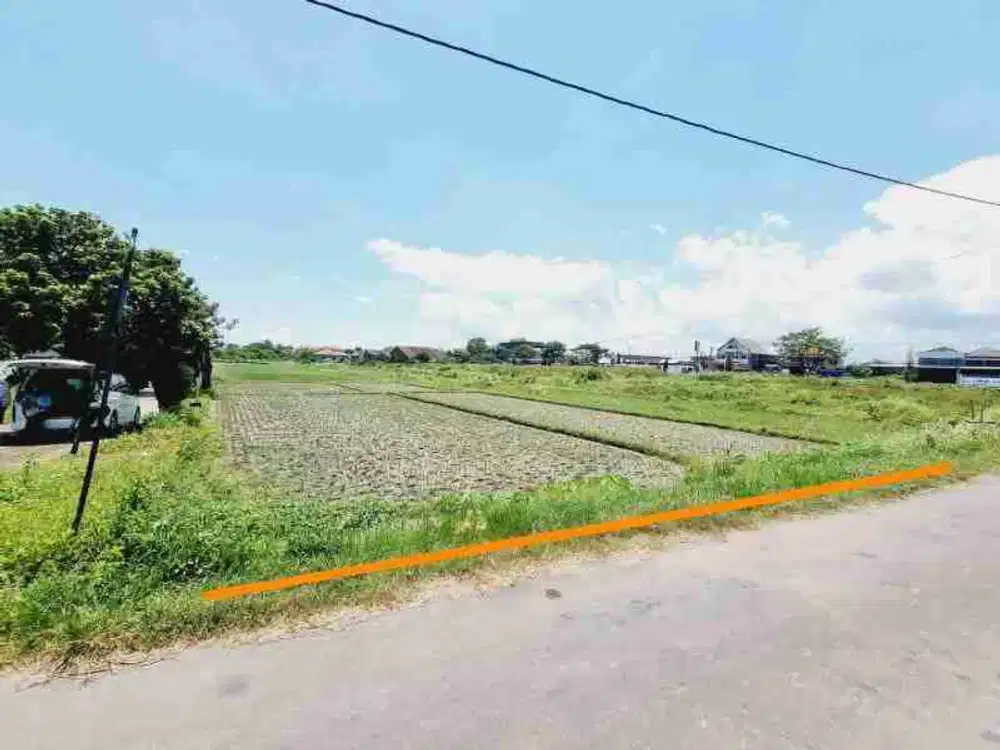 Tanah Sawah Luas 5.050m² di Delanggu