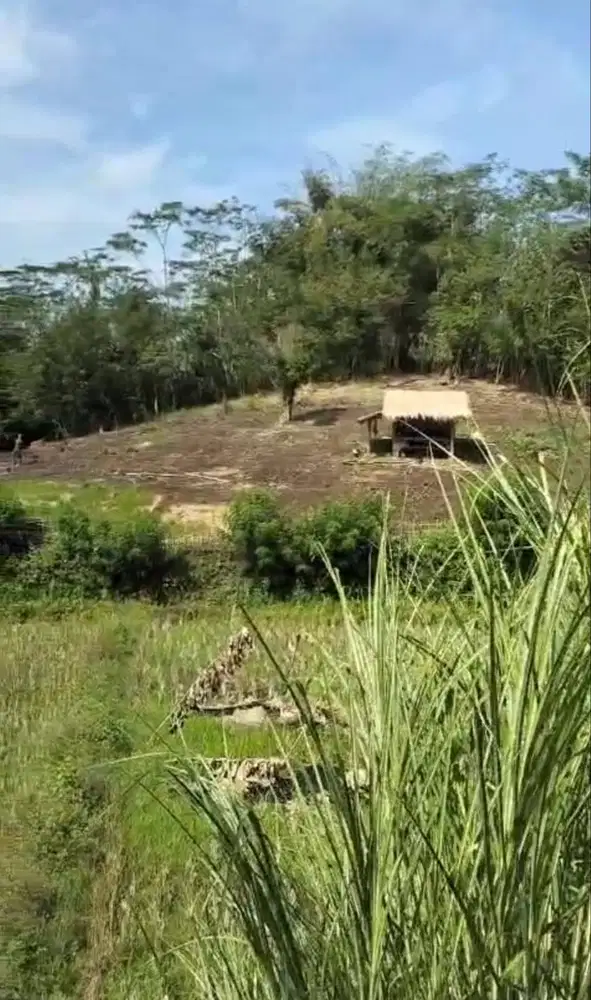 DIJUAL TANAH MURAH 25.000/METER.