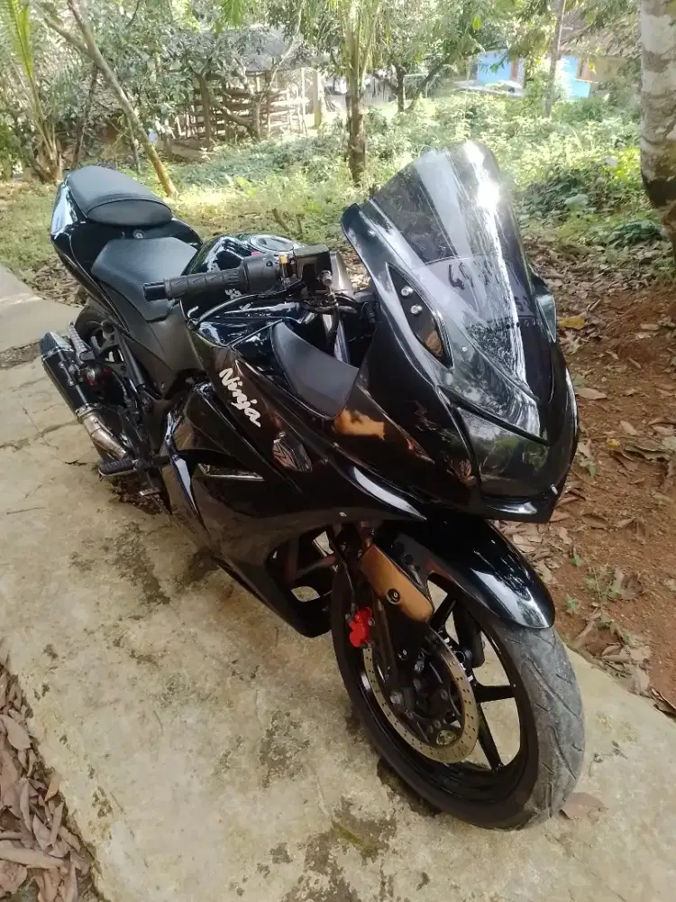 Ninja 250 karbu