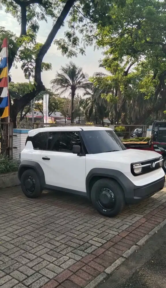 VinFast VF 3 2025 Listrik