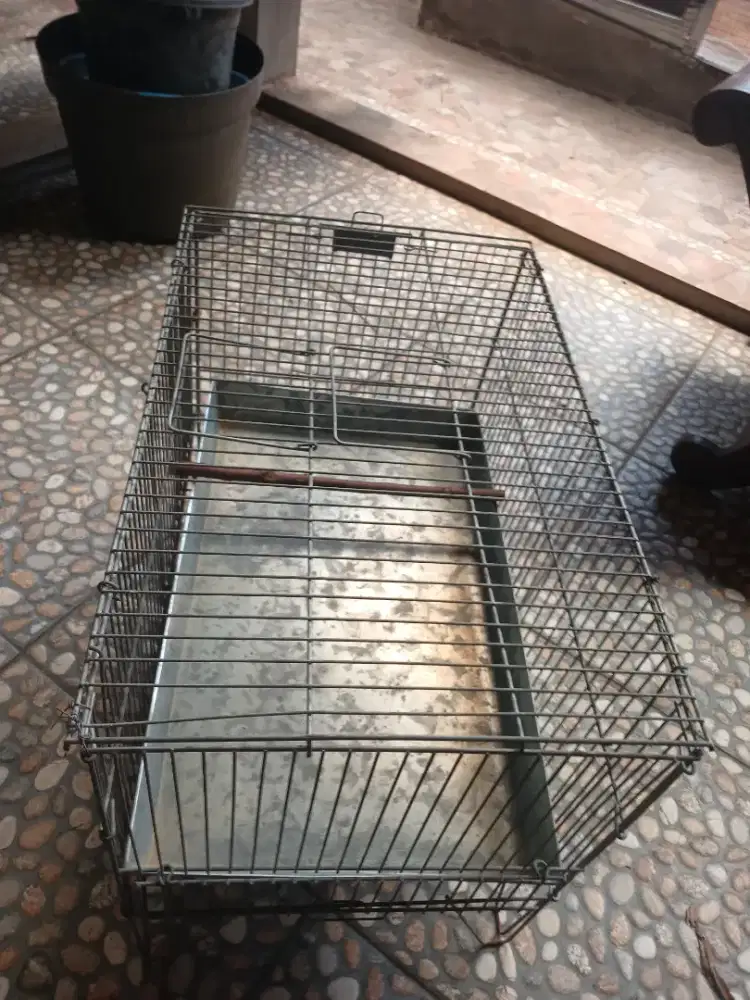 Kerambah Mandi Burung