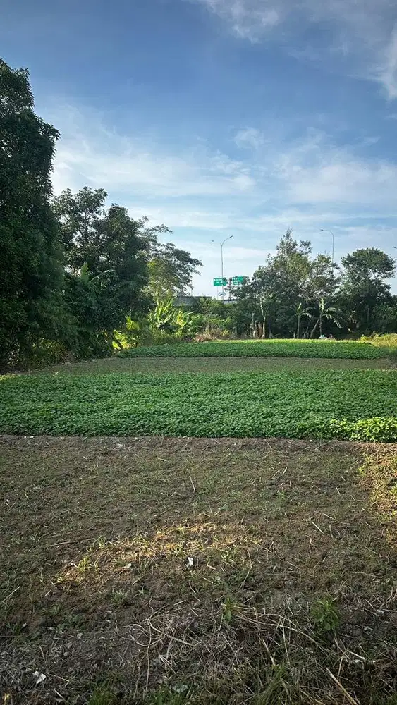 Dijual Tanah Dekat Bandara BU