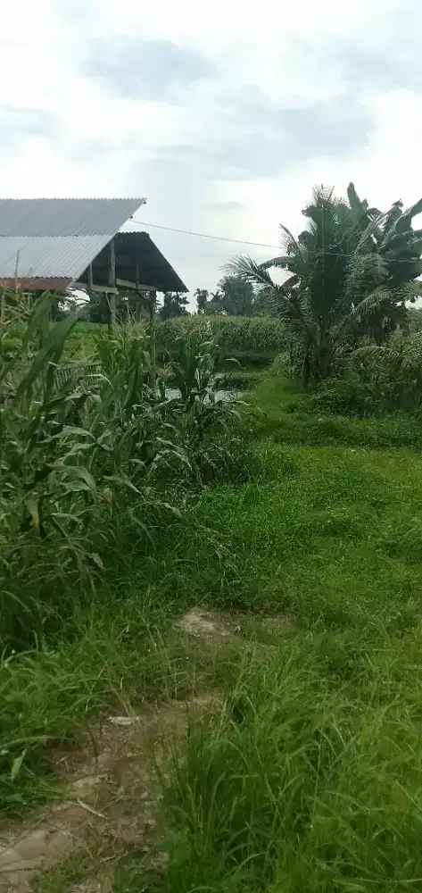 Dijual cepat tanpa perantara langsung yg bersangkutan