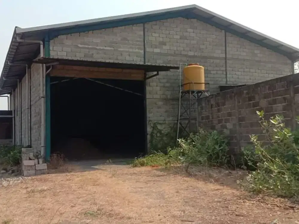 DISEWAKAN/DIJUAL GUDANG - NGORO - MOJOKERTO