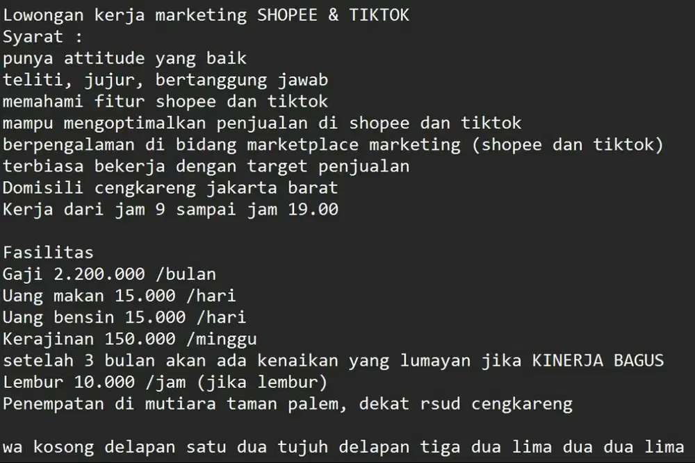 Lowongan kerja marketing SHOPEE & TIKTOK