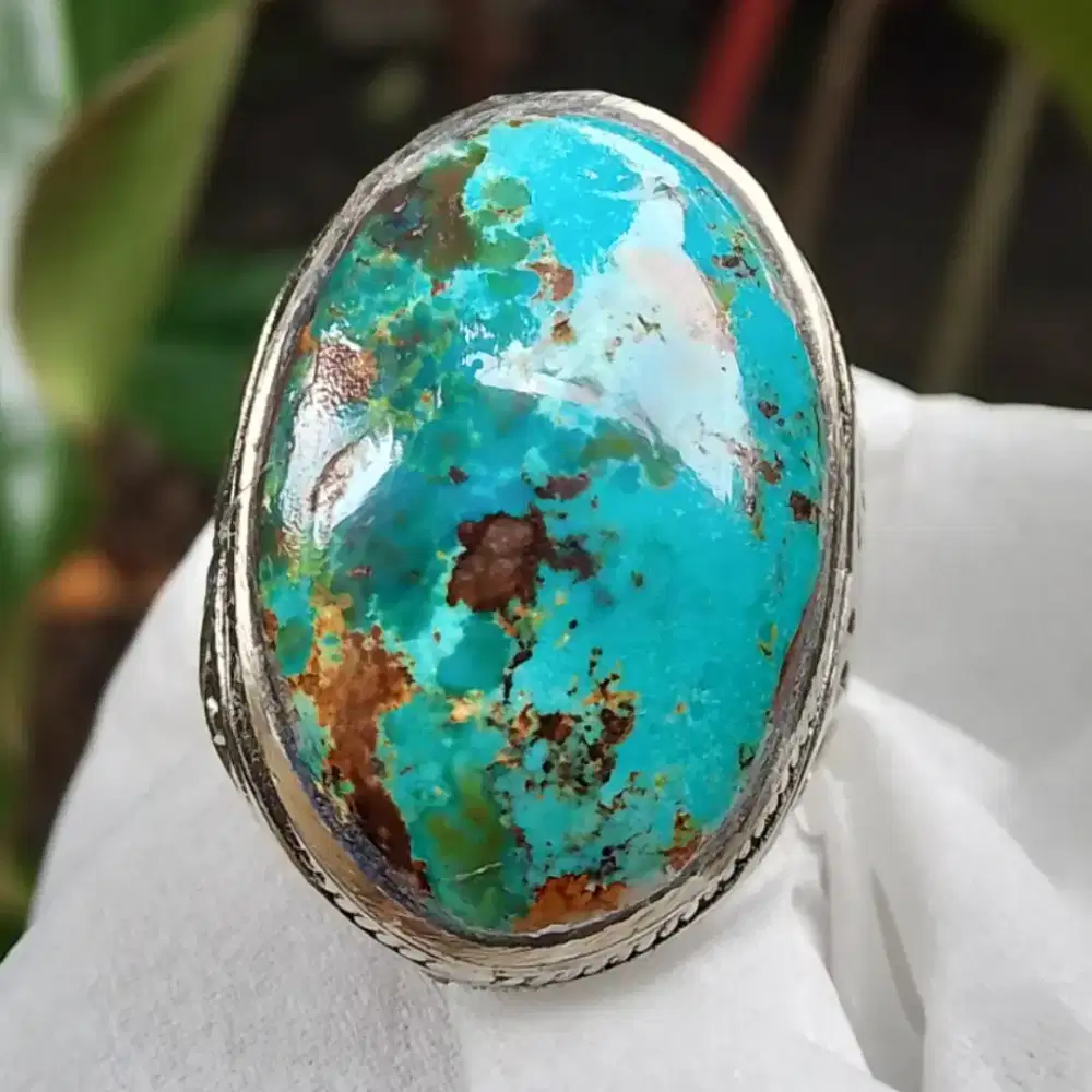 Natural pirus persi jumbo dim 28*20*8 ring alfaka net harga