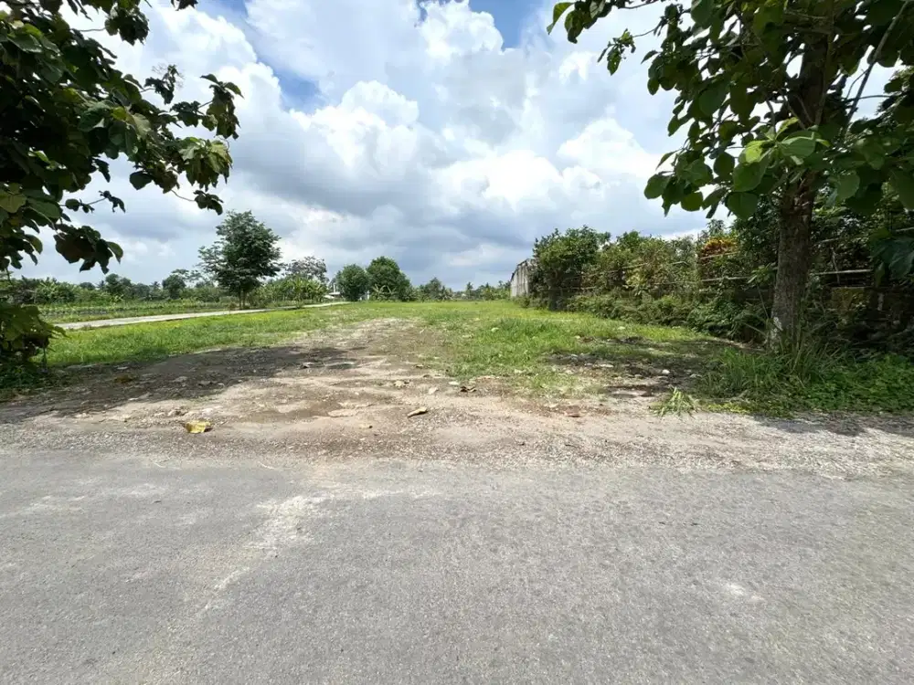 Jual Murah Tanah Jogja Utara Tepi Jalan Aspal, SHM P