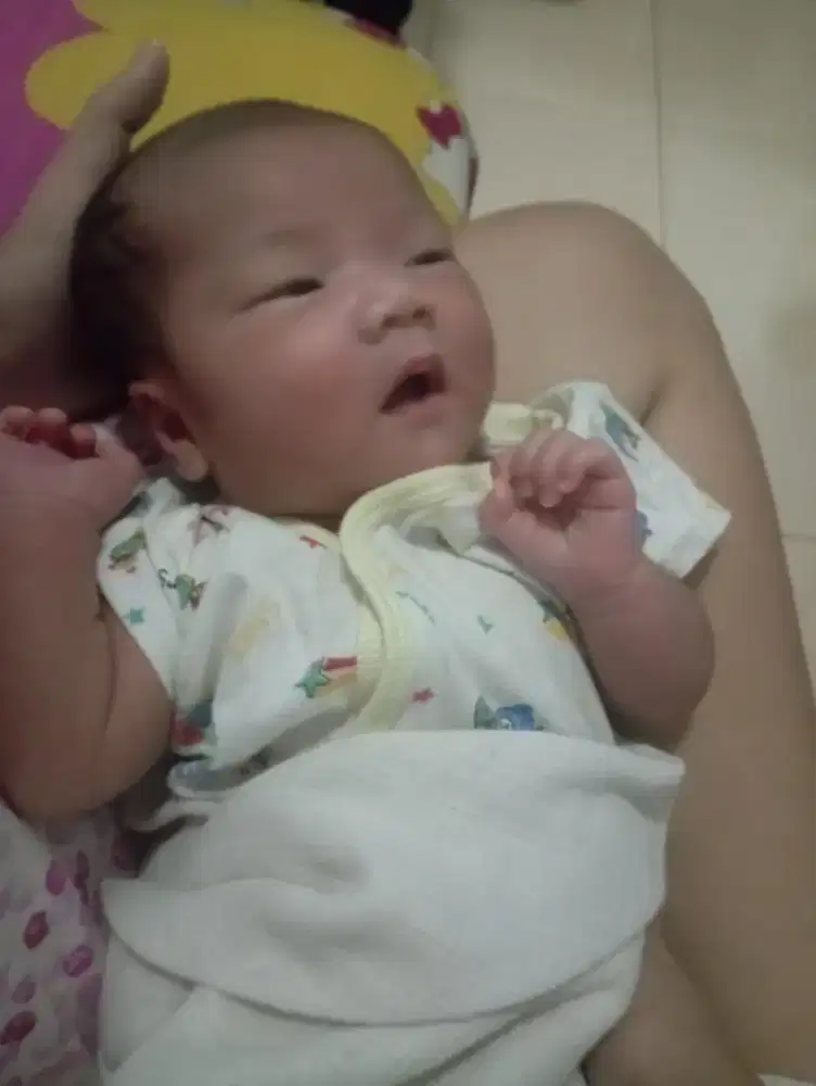 Pengasuh Bayi Nanny Baby Sitter