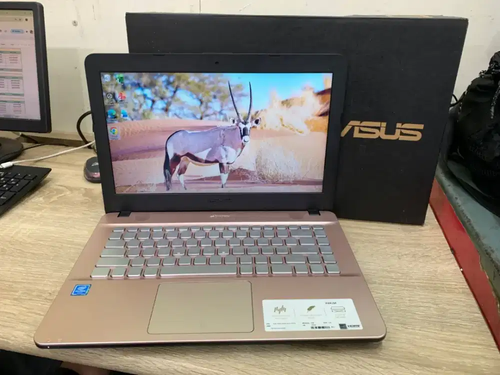 Asus X441M Pink Lady