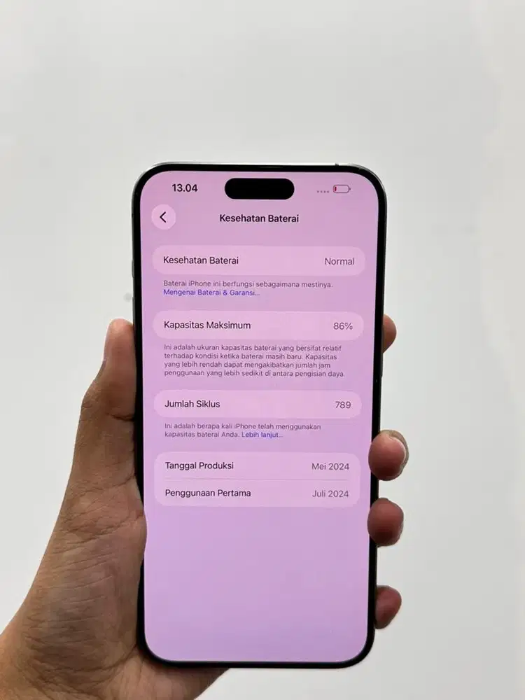 15 promax 256 ibox natural titanium