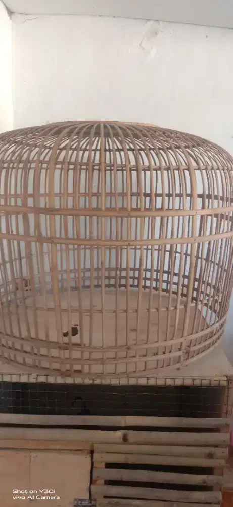 kandang ayam ukuran jumbo