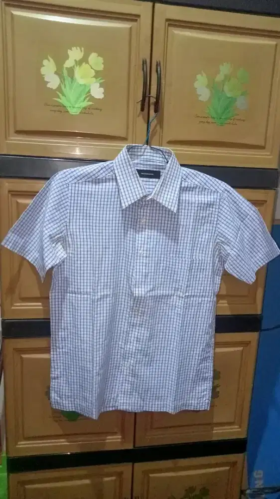 Kemeja Pria The Executive ( PL )