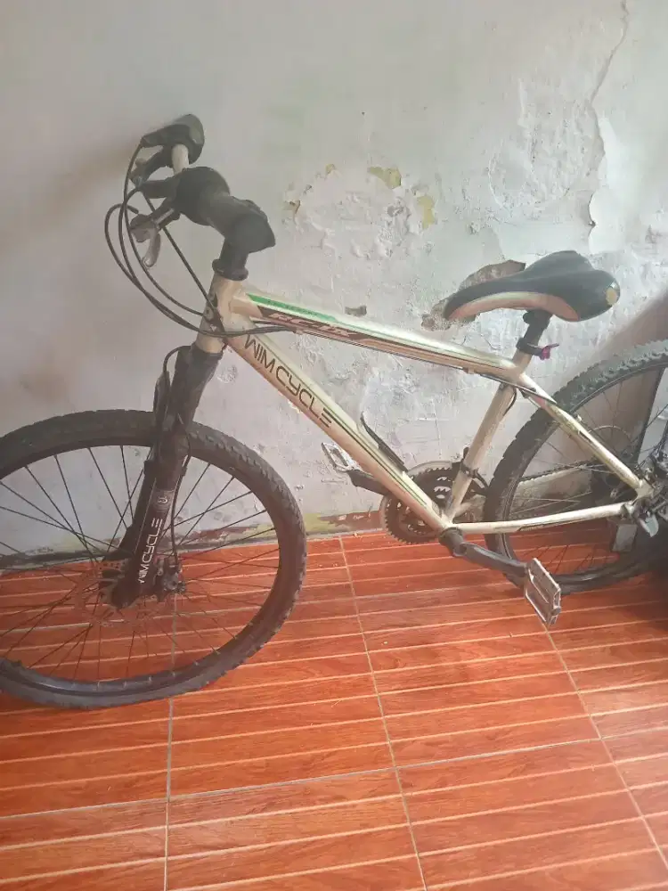 Jual cepat sepeda gunung