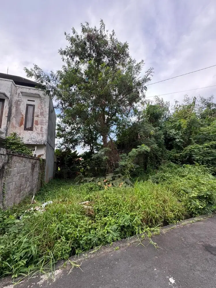 Kavling Strategis Sading Selaras Residence Jl Sading Raya Badung Bali