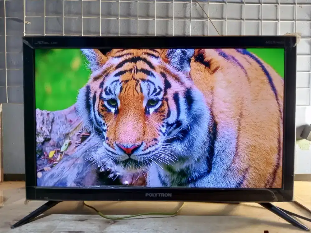 Tv led polytron 24 inc murah