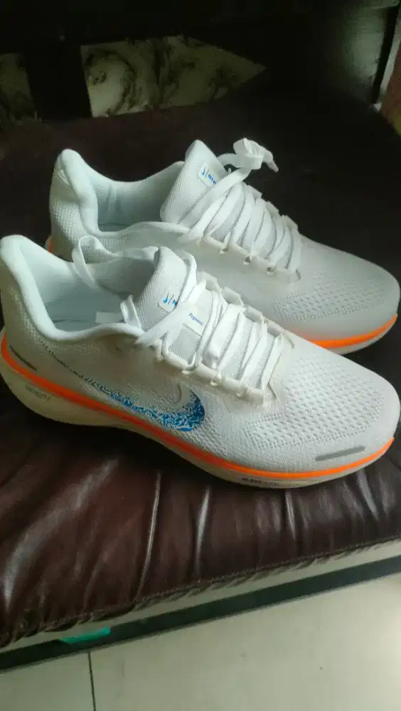 Sepatu nike air zoom pegasus