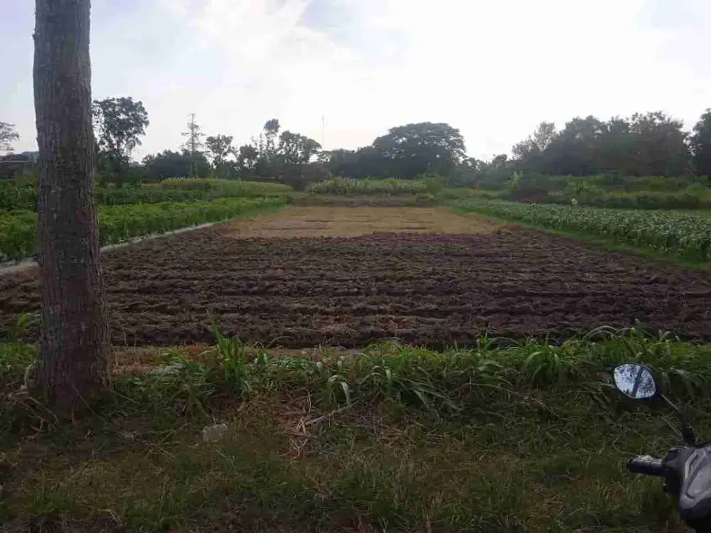 Dijual Tanah Zona Kuning Lokasi Jogonalan,Klaten
Luas 2555m2