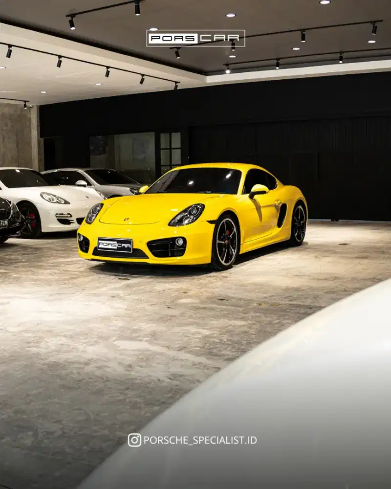 Porsche Cayman 981 2013