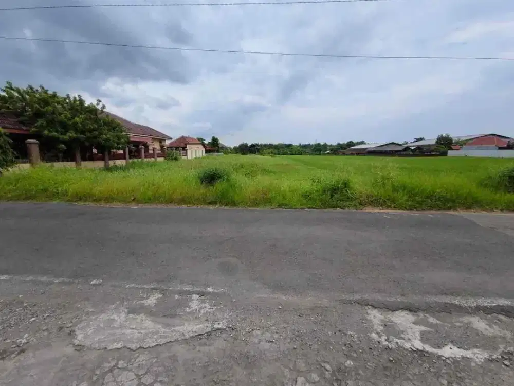 Tanah Mangku Jalan Aspal Dekat Dengan Jalan Solo Yogya letak Strategis
