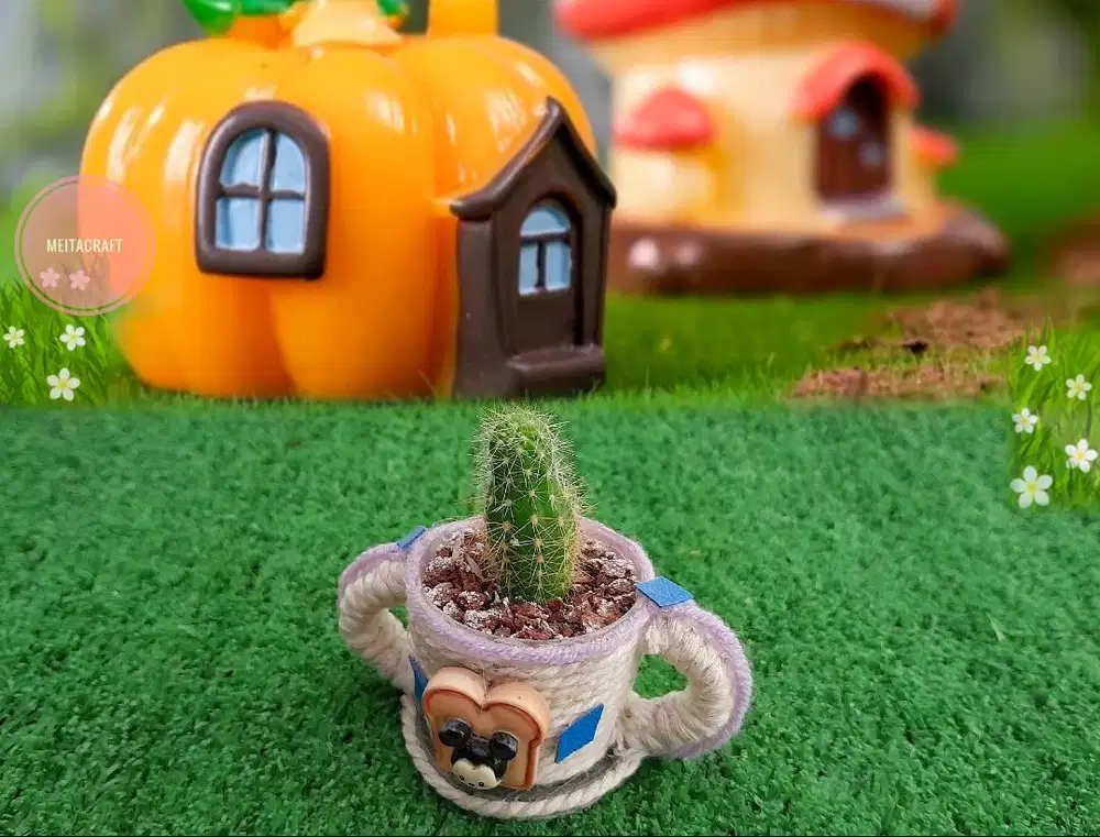 Kaktus Golden Ball & Pot Model Kostum Astronot