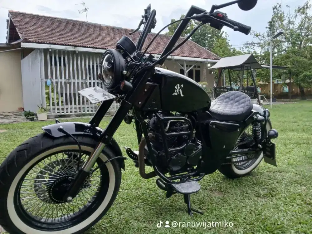 Yamaha scorpio custom