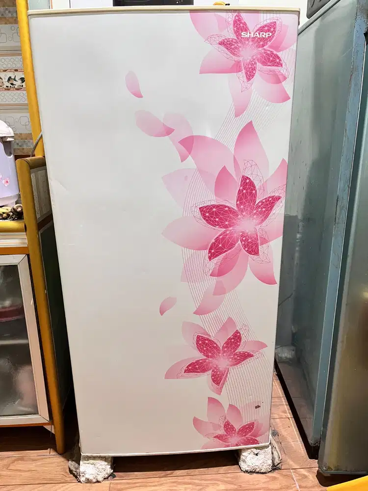 Kulkas Sharp 1 pintu